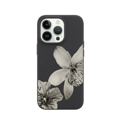 Funda Bruma - iPhone 11/12/13/14/15/16/17