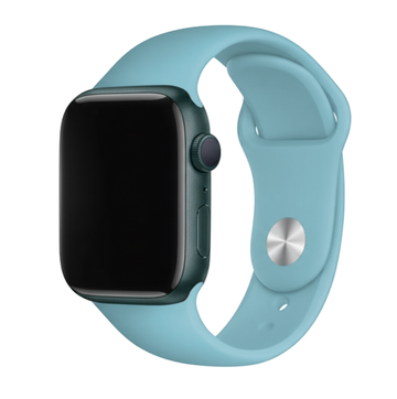 Correa Basic Apple Watch - Tonos azules